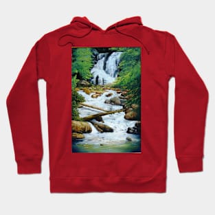 Anna Ruby Falls Hoodie